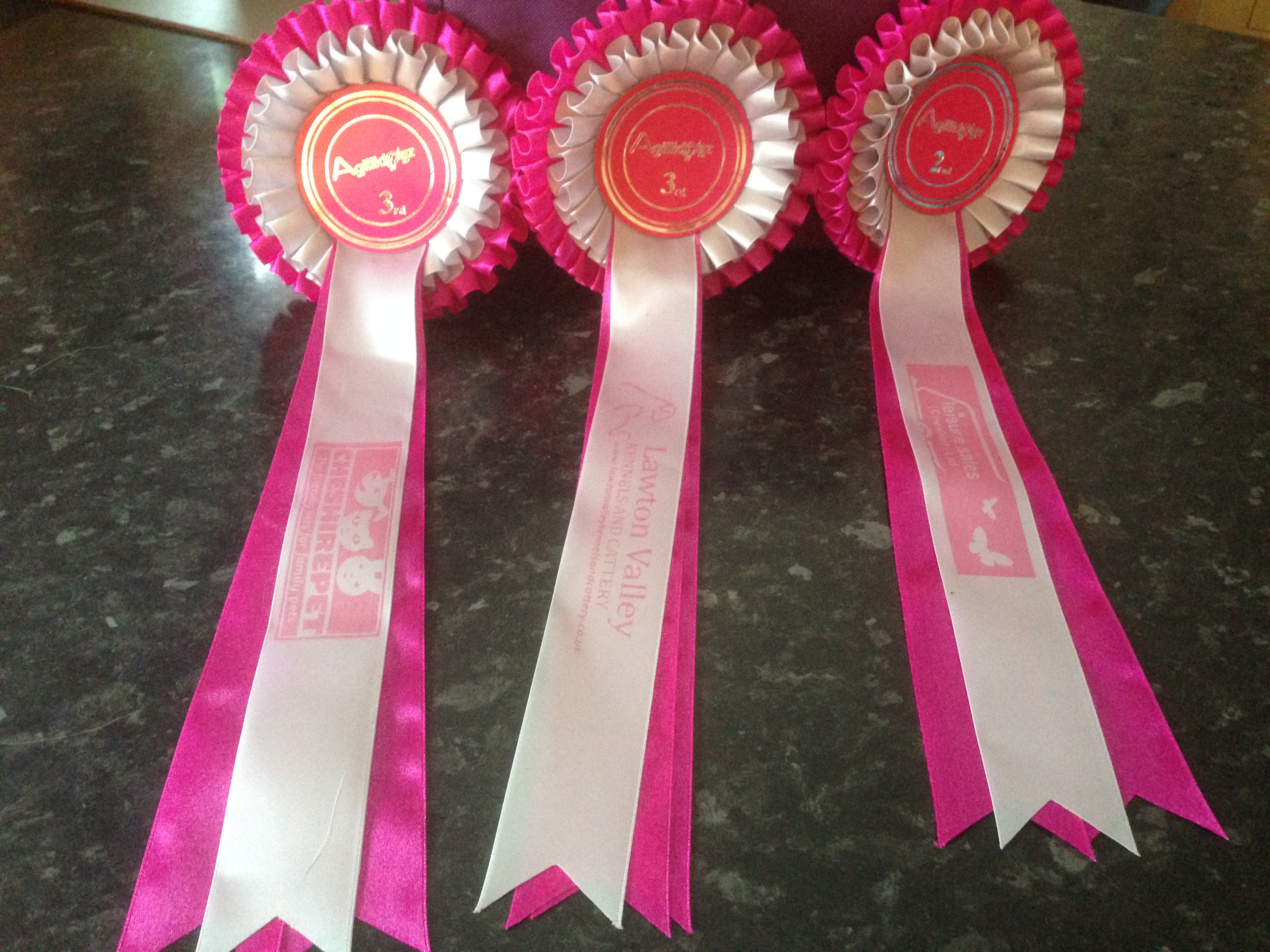 Sponsored Rosettes - Bobbydogs